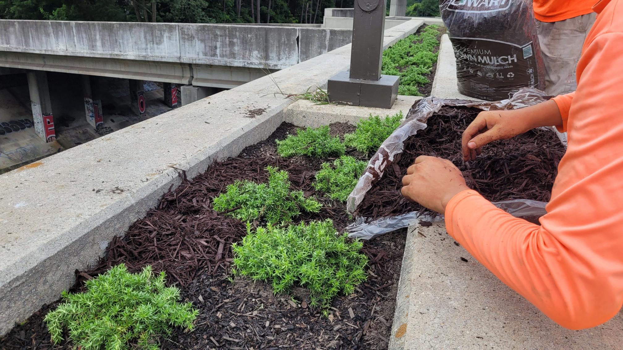 New Landscaping at Lenox Station